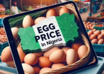 Egg Price in Nigeria (October 2024)